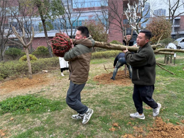 1710831955644489.png image.png